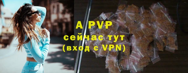 гидра Аркадак