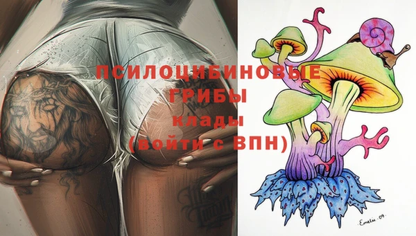 гидропоника Балахна