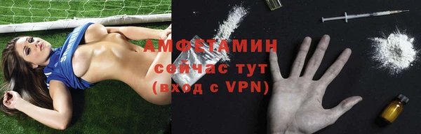 прущие грибы Балабаново