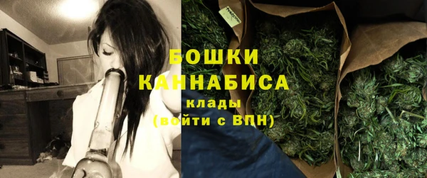 гидра Аркадак