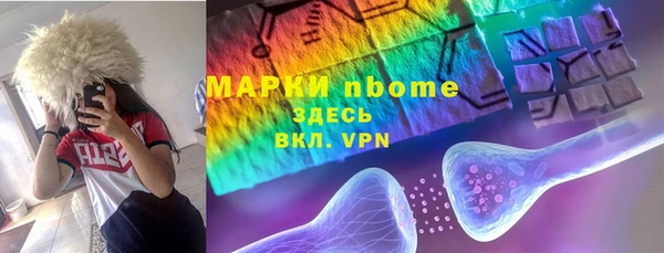 прущие грибы Балабаново