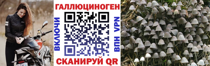 Галлюциногенные грибы ЛСД  Пересвет 